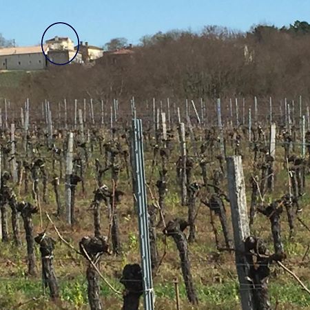 Superbe Gite A La Campagne Dans Le Bordelais Saint-Vivien-de-Blaye 外观 照片