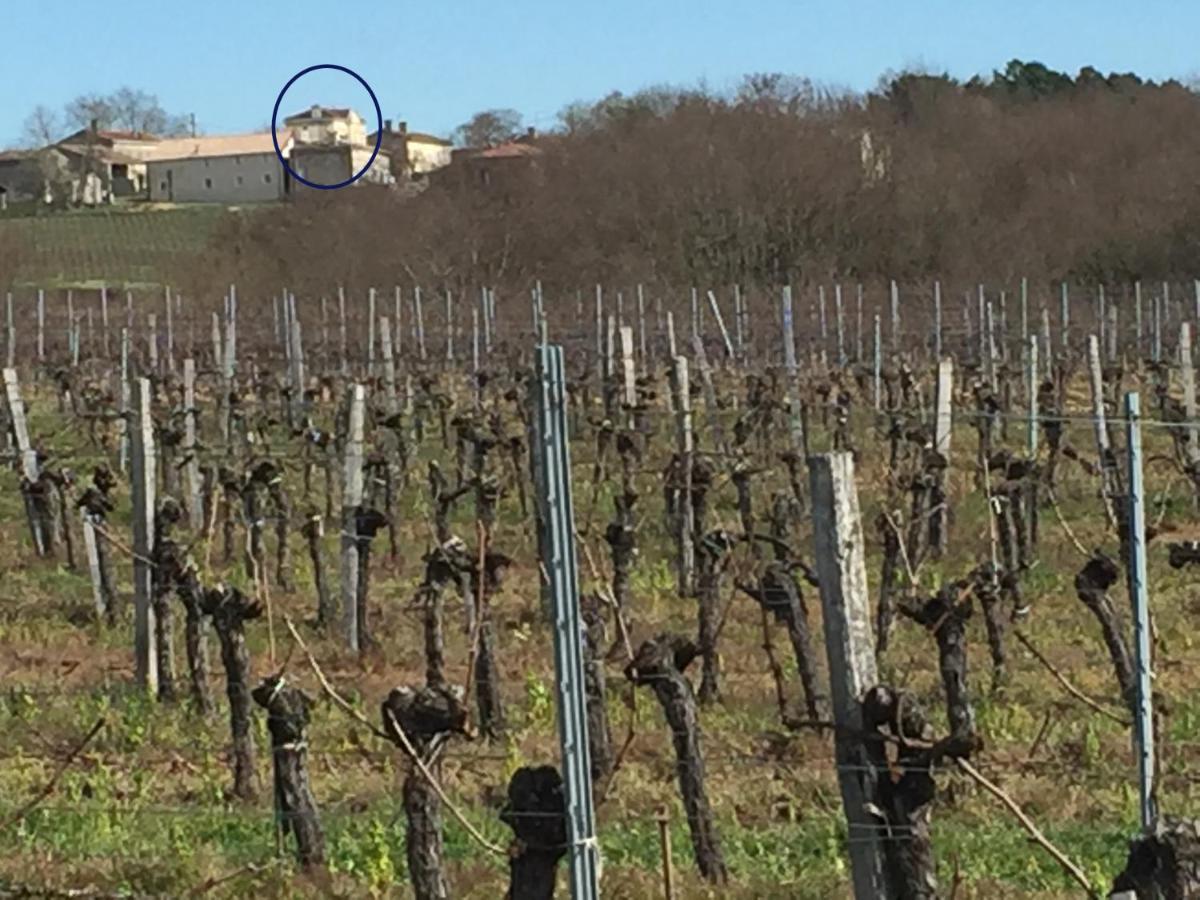 Superbe Gite A La Campagne Dans Le Bordelais Saint-Vivien-de-Blaye 外观 照片